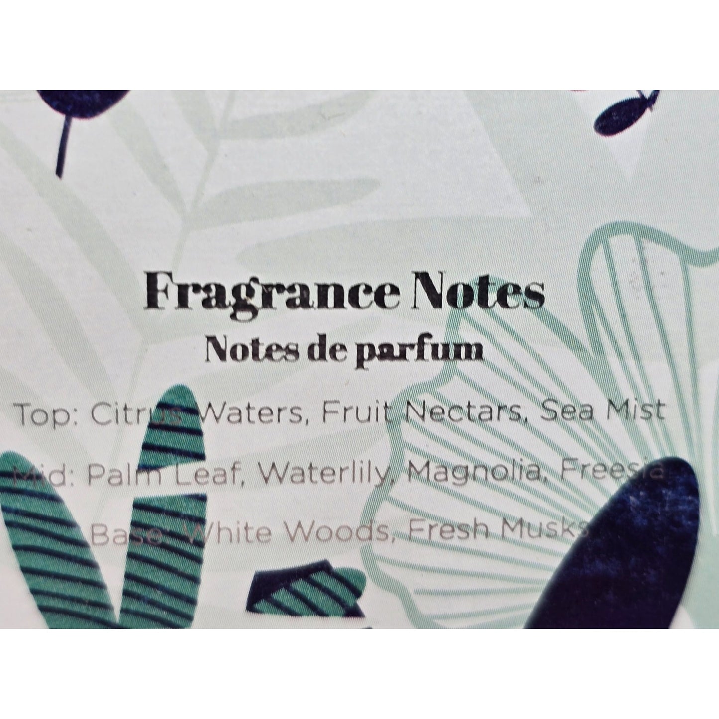The Good Scent Palm Flower Eau De Parfum Perfume Fragrance Oil 3.4 Fl Oz Vegan