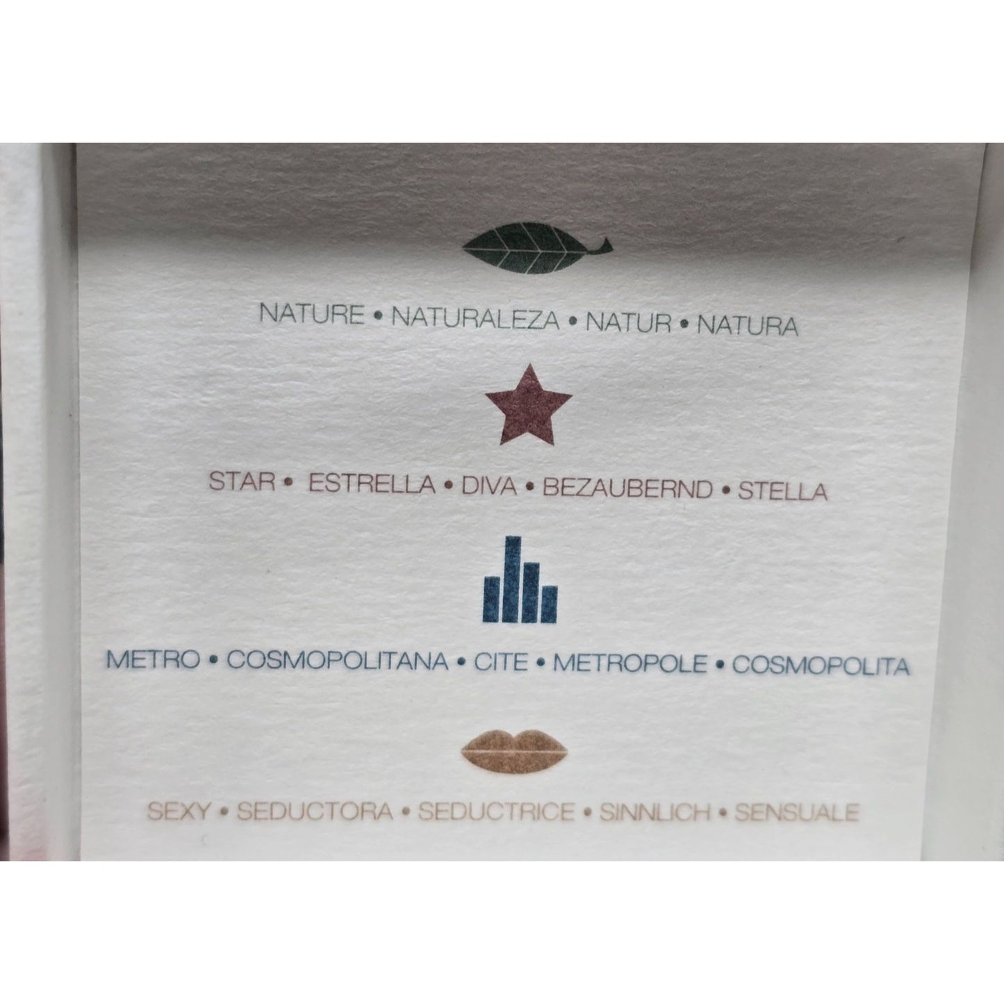 2000's BCBGirls Perfume Sample Set Y2K Rare Complete Set Sexy Star Metro Nature